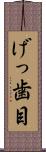 げっ歯目 Scroll