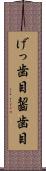 げっ歯目 Scroll