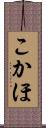 こかほ Scroll