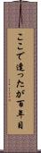 ここで逢ったが百年目 Scroll