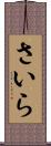さいら Scroll