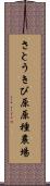 さとうきび原原種農場 Scroll