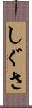 しぐさ Scroll