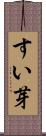 すい芽 Scroll