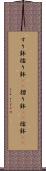 すり鉢 Scroll