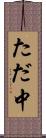 ただ中 Scroll