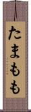 たまもも Scroll