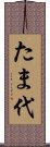 たま代 Scroll