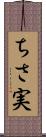ちさ実 Scroll