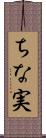 ちな実 Scroll