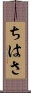 ちはさ Scroll