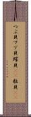 つぶ貝 Scroll