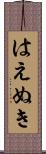はえぬき Scroll
