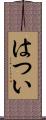 はつい Scroll