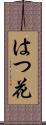 はつ花 Scroll