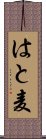 はと麦 Scroll