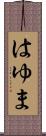 はゆま Scroll