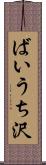 ばいうち沢 Scroll