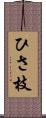 ひさ枝 Scroll