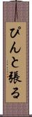 ぴんと張る Scroll