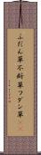 ふだん草 Scroll