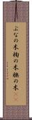 ぶなの木 Scroll
