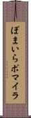 ぽまいら Scroll