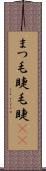 まつ毛 Scroll