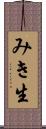 みき生 Scroll