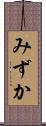 みずか Scroll