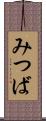 みつば Scroll
