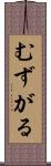 むずがる Scroll