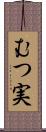 むつ実 Scroll