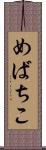 めばちこ Scroll