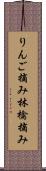 りんご摘み Scroll