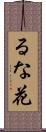 るな花 Scroll