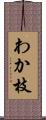 わか枝 Scroll