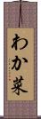 わか菜 Scroll
