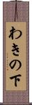 わきの下 Scroll