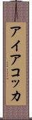 アイアコッカ Scroll