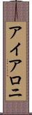 アイアロニ Scroll