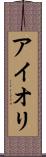 アイオリ Scroll