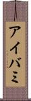 アイバミ Scroll