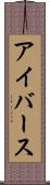 アイバース Scroll