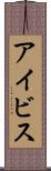 アイビス Scroll
