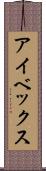 アイベックス Scroll