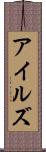 アイルズ Scroll