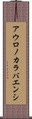 アウロノカラバエンシ Scroll