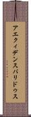 アエクィデンスパリドゥス Scroll
