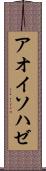 アオイソハゼ Scroll
